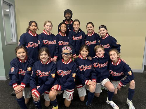 chicago bulls #3 josh giddey red Icon edition stitched basketball Basketball jersey photo review